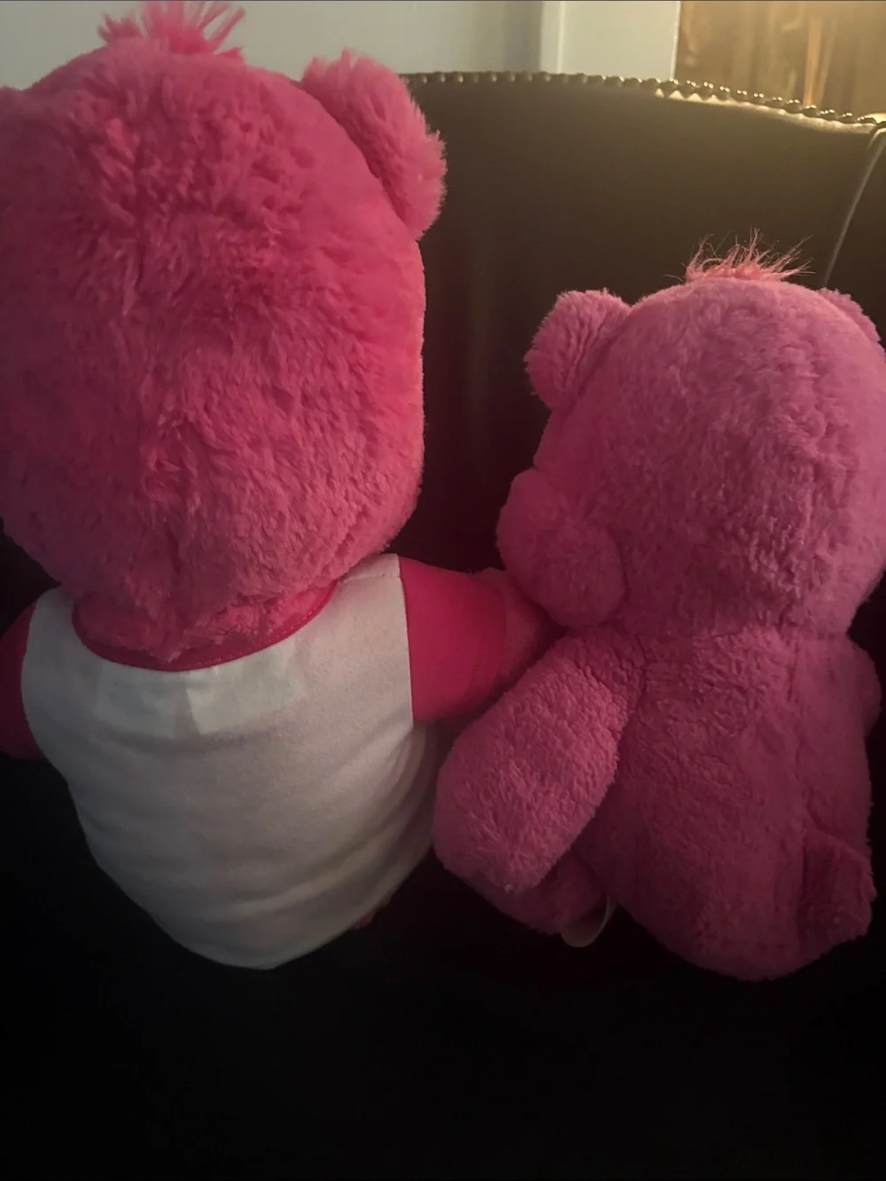 Care Bears Bright Pink Plush Pair - Rainbow & 'We Care' Designs